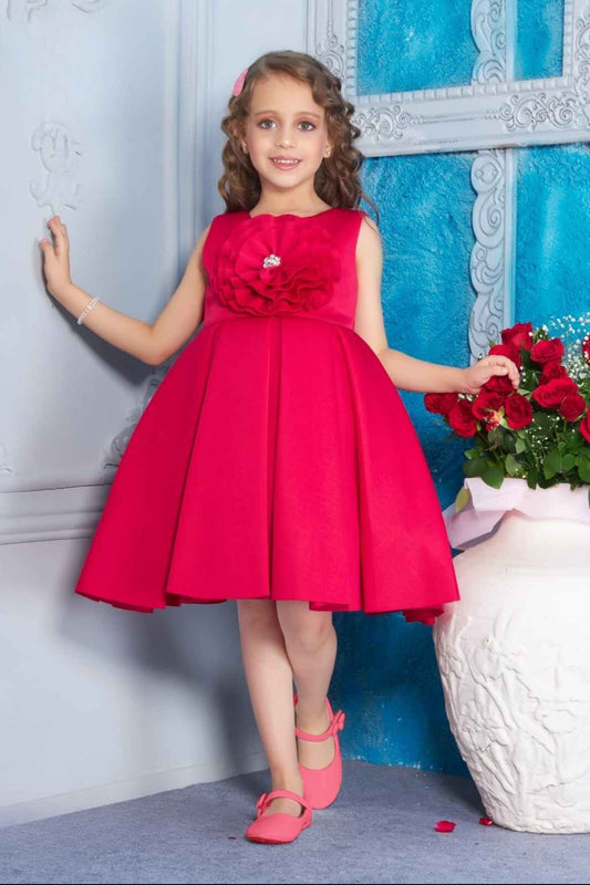 Rani Pink Partywear Frock With Floral Embellished For Girls