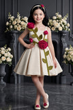 Girls Fawn 3D Rose Applique Party Wear Frock