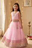 Pink Embellished Lehenga Choli for Girls