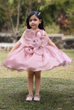 Girls Pink Floral Applique Party Dress With 3d Flower Detail