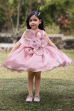Girls Pink Floral Applique Party Dress With 3d Flower Detail