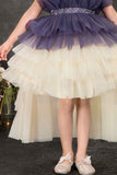 Navy Blue and Ivory Layered Tailback Party Dress For Girls
