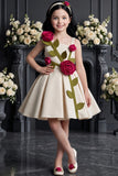Girls Fawn 3D Rose Applique Party Wear Frock