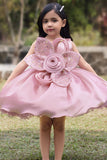 Girls Pink Floral Applique Party Dress With 3d Flower Detail