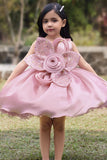 Girls Pink Floral Applique Party Dress With 3d Flower Detail