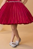 Red Floral Appliqué Pleated Party Wear Frock for Girls