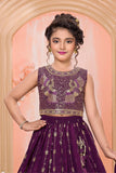 Plum Purple Sequins Bird Embroidered Lehenga Choli Set for Girls