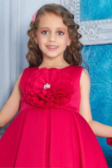 Rani Pink Partywear Frock With Floral Embellished For Girls