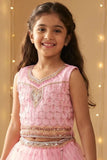 Pink Embellished Lehenga Choli for Girls