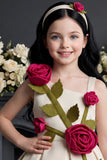 Girls Fawn 3D Rose Applique Party Wear Frock