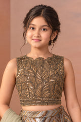Girls Gold And Silver Sequin Embroidered Lehenga Choli Set