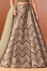 Girls Gold And Silver Sequin Embroidered Lehenga Choli Set