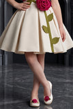 Girls Fawn 3D Rose Applique Party Wear Frock