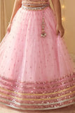 Pink Embellished Lehenga Choli for Girls