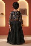 Girls Black Embroidered Lehenga Choli Set with Sheer Sleeves
