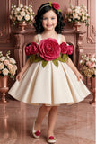 Girls Fawn 3D Floral Applique Party Wear Frock