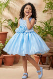 Blue Shimmer Party Wear Frock with 3D Floral Appliqué For Girls
