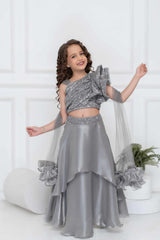 Silver Organza Lehenga Choli And Dupatta For Girls