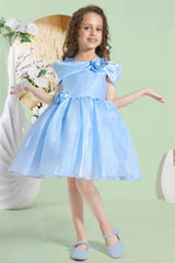 Blue Sleeveless Sequins Work And Floral Embellished Frock For Girls