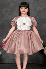 Peach Party Frock with Oversized Floral Appliqué For Girls