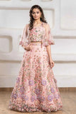 Dreamy Blush Pink 3-Piece Embroidered Lehenga Set with Cape For Girls