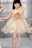 Golden Shimmer Party Frock with Sequin Bow and 3D Flower Detail For Girls