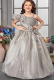 Elegant Grey Pleated & Floral Embellished Gown For Girls
