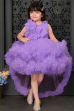 Purple Sleeveless And Floral Embellished Tail Back Frock For Girls