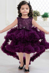 Wine Net Partywear Frock With Sequin And Bow Embellished For Girls