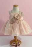 Peach Shimmer Party Frock with Sequin Floral Bow for Girls