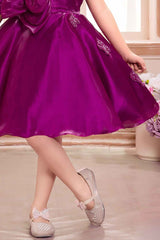Elegant Wine Floral And Butterfly Embellished Frock For Girls