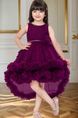 Wine Net Multilayer With Ruffle And Floral Embellished Frock For Girls