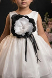 Girls White  Party Frock With Black Floral Applique