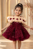 Girls Maroon Sequin Embellished Ruffle Party Frock