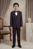 Purple Embroidered 5-Piece Suit Set For Boys