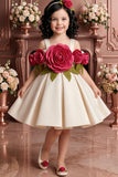 Girls Fawn 3D Floral Applique Party Wear Frock