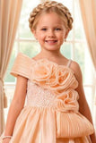 Girls Peach One-Shoulder Party Gown with 3D Floral Ruffles