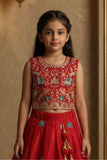 Red Embroidered Lehenga Choli Set with Net Dupatta For Girls