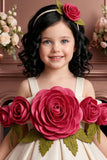 Girls Fawn 3D Floral Applique Party Wear Frock