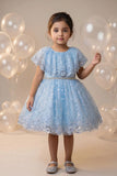 Girls Sky Blue Sequinned Net Party Wear Frock with Floral Embellishments