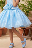 Blue Shimmer Party Wear Frock with 3D Floral Appliqué For Girls