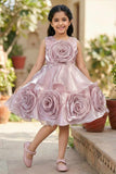 Onion Pink Embellished Party Wear Frock with 3D Rose Appliqué For Girls