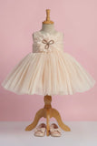 Fawn Party Frock with Oversized Floral Appliqué and Pleated Shine Finish For Girls