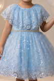 Girls Sky Blue Sequinned Net Party Wear Frock with Floral Embellishments