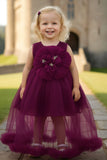 Wine Party Frock with Oversized Floral Appliqué For Girls