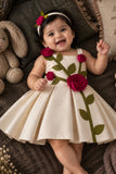 Girls Fawn 3D Rose Applique Party Wear Frock