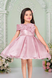 Baby Pink Embellished Party Frock With 3D Flower For Girls