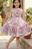 Onion Pink Embellished Party Wear Frock with 3D Rose Appliqué For Girls
