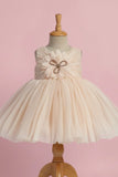 Fawn Party Frock with Oversized Floral Appliqué and Pleated Shine Finish For Girls