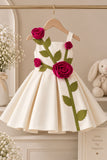 Girls Fawn 3D Rose Applique Party Wear Frock